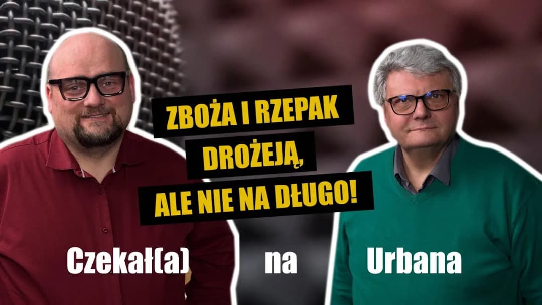 Aktualna cena rzepaku w skupie – nie daj się zaskoczyć! Aktualna cena rzepaku w skupie – nie daj się zaskoczyć!